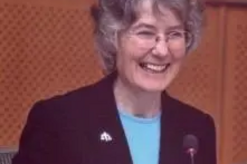 Fiona Hall speaking in the European Parliament